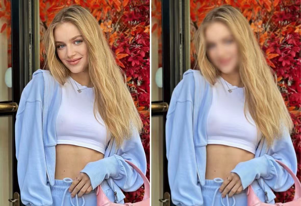 PhotoCat AI Face Blur