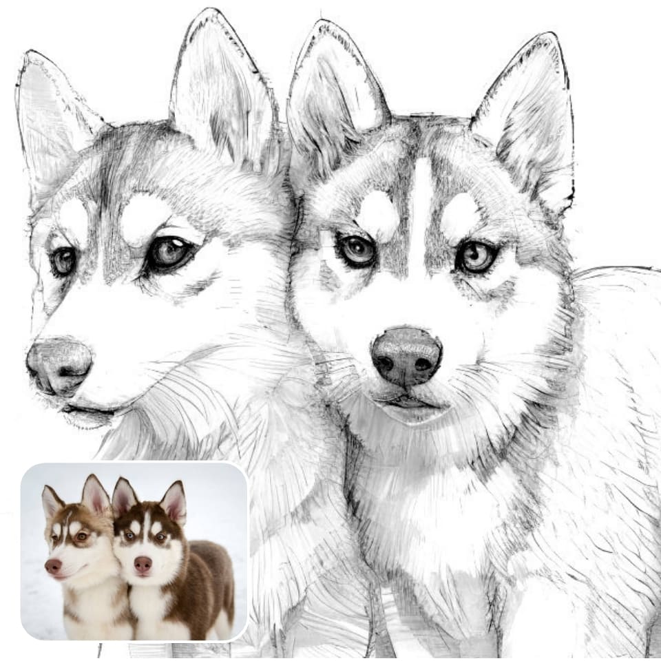 Foto a dibujo de PhotoCat