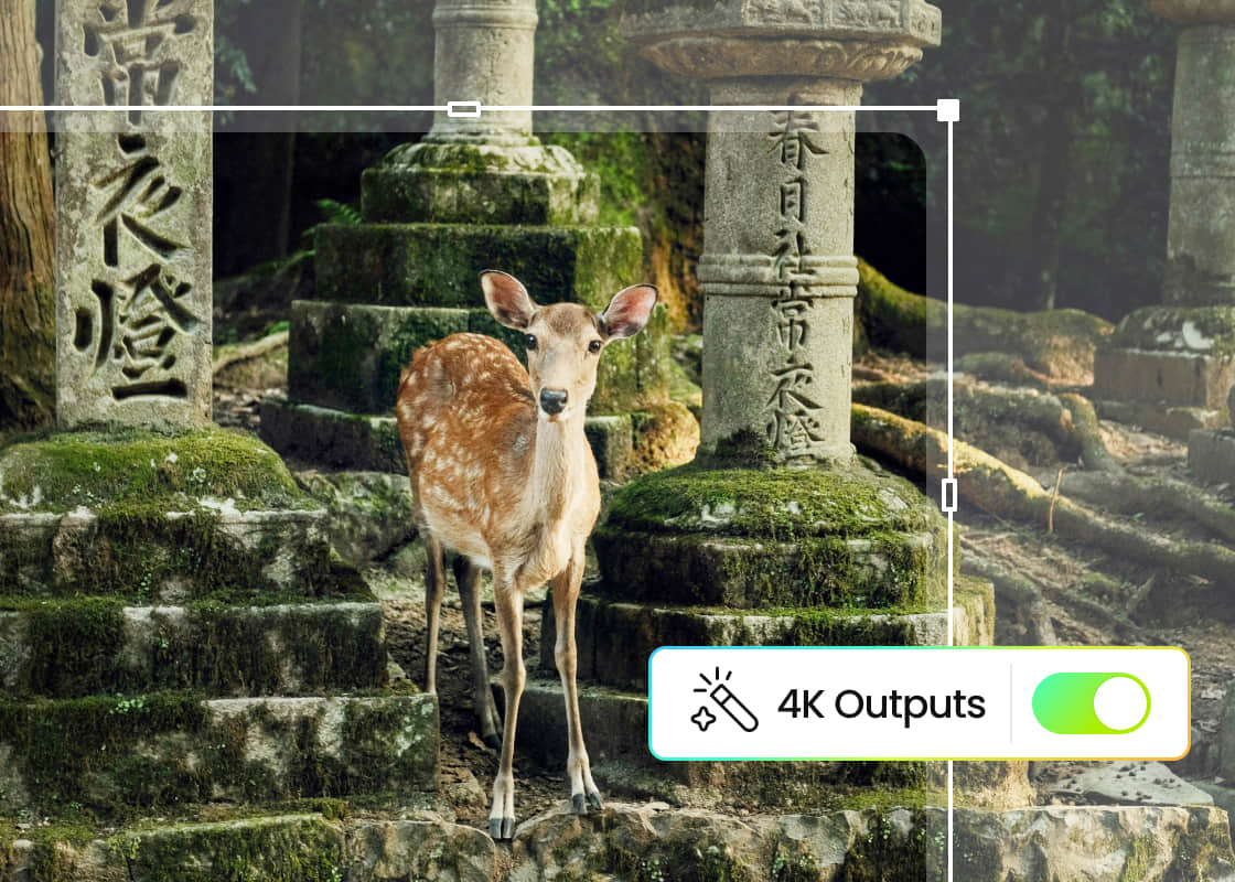 Tăng chất lượng ảnh với PhotoCat