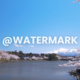 hapus watermark video online