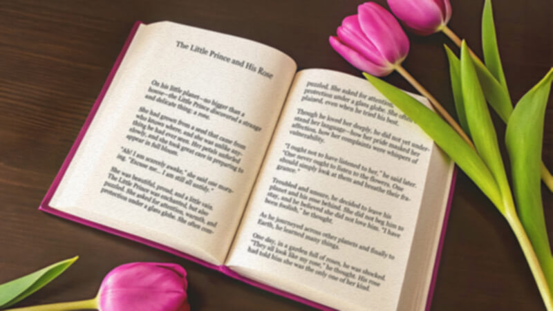 Extensor de Imagem 
Desfazer recorte de imagem