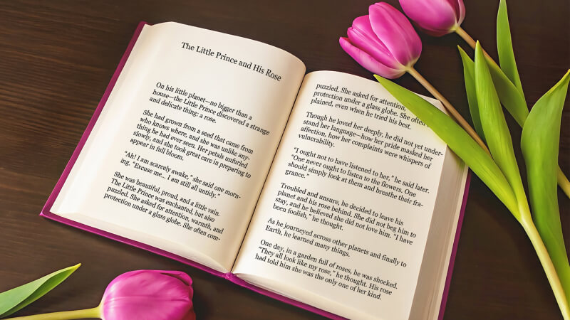 Extensor de Imagem 
Desfazer recorte de imagem