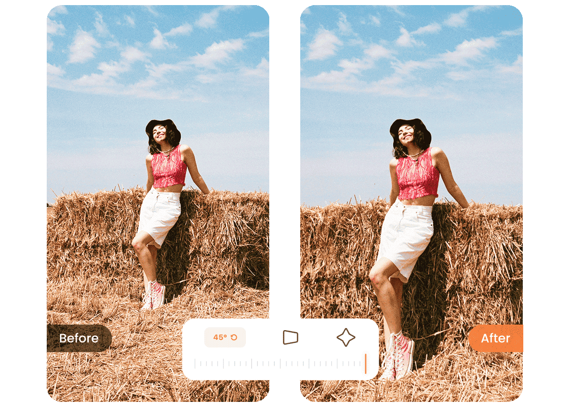 Body Editor